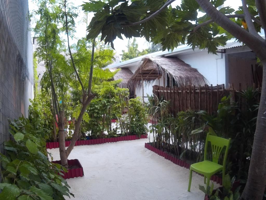 View 3*