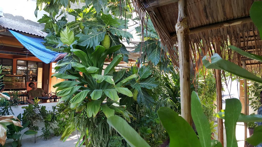 View 3* Maafushi