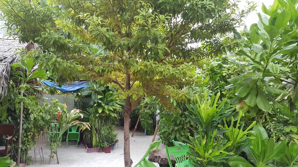 गेस्ट हाउस View